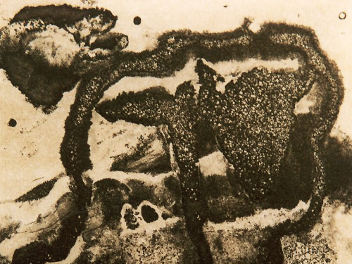 Nouveau stage avec Alberto Valverde