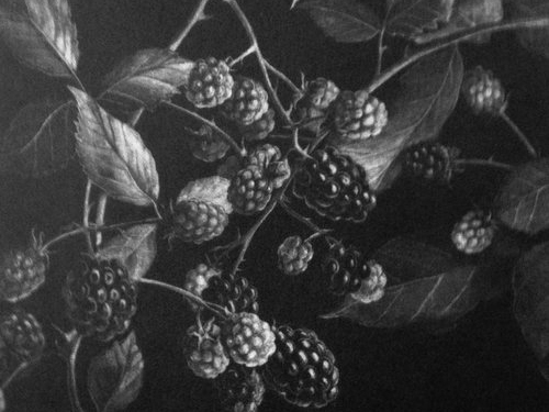 Stage Manière Noire 19/20 janvier