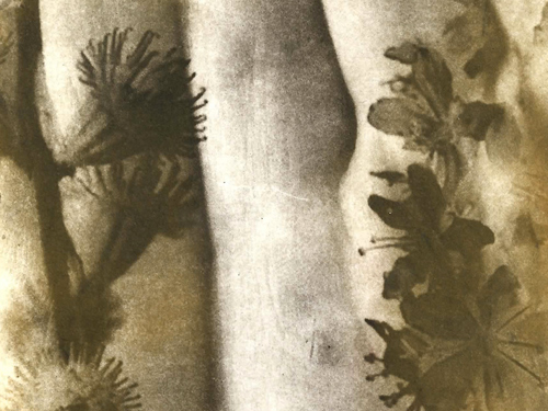 20/21 avril, stage photopolymère