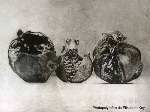 Stage Photopolymère