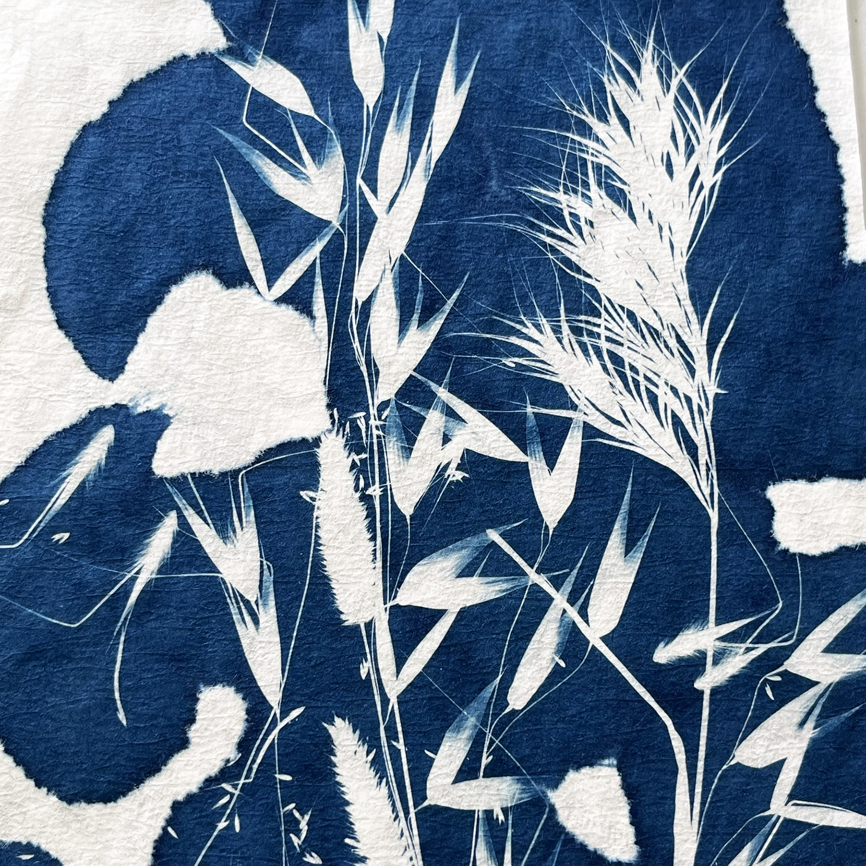 Stage cyanotype